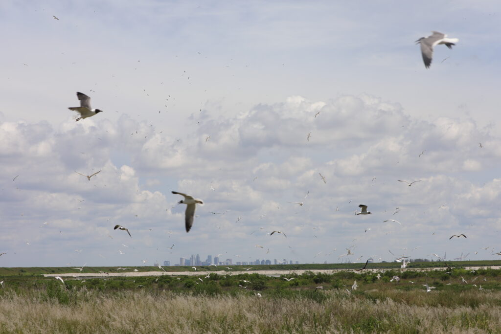 PTB Pictures: Bird Island Media Tour Photo 6